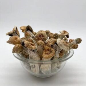 Penis Envy Mushroom