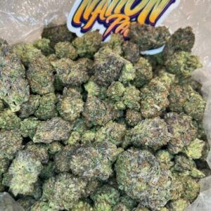 Buy Black Cherry Gelato Online – Best Quality Strain #1