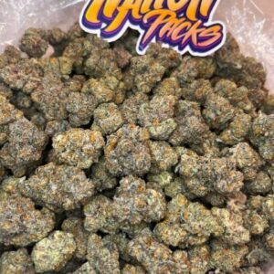Buy Cereal Candy Strain Online – Disposable Vape House #1