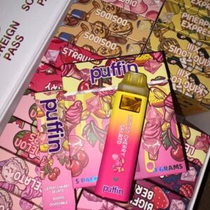 Buy Puffin 3G Disposable Vape Online – Disposable Vape House